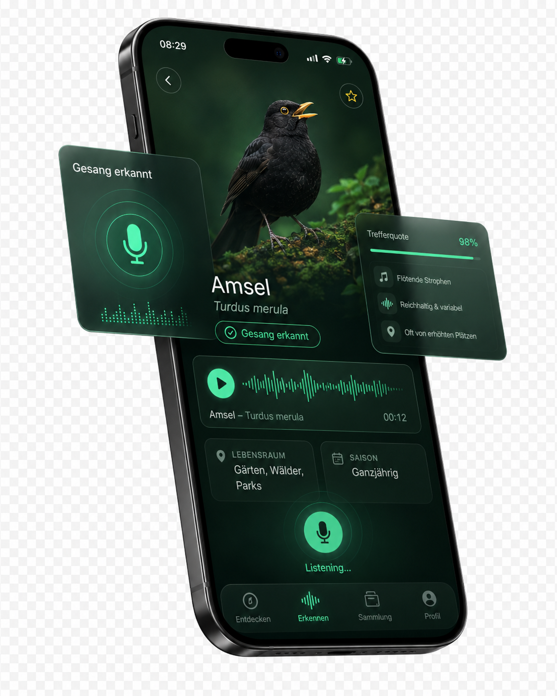 AnimalScout – Amsel mit Gesangsanalyse