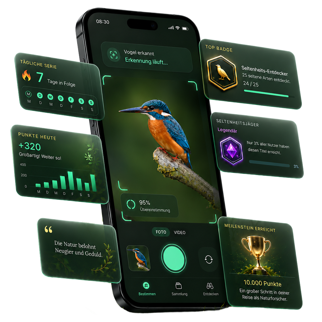 AnimalScout App – Eisvogel-Erkennung mit Punkten, Badges und Trophäen